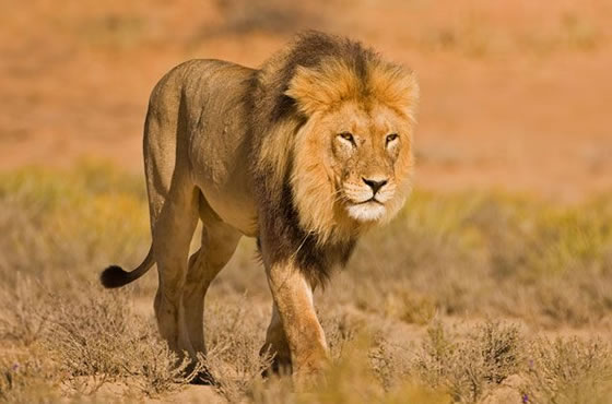 Serengeti National Park